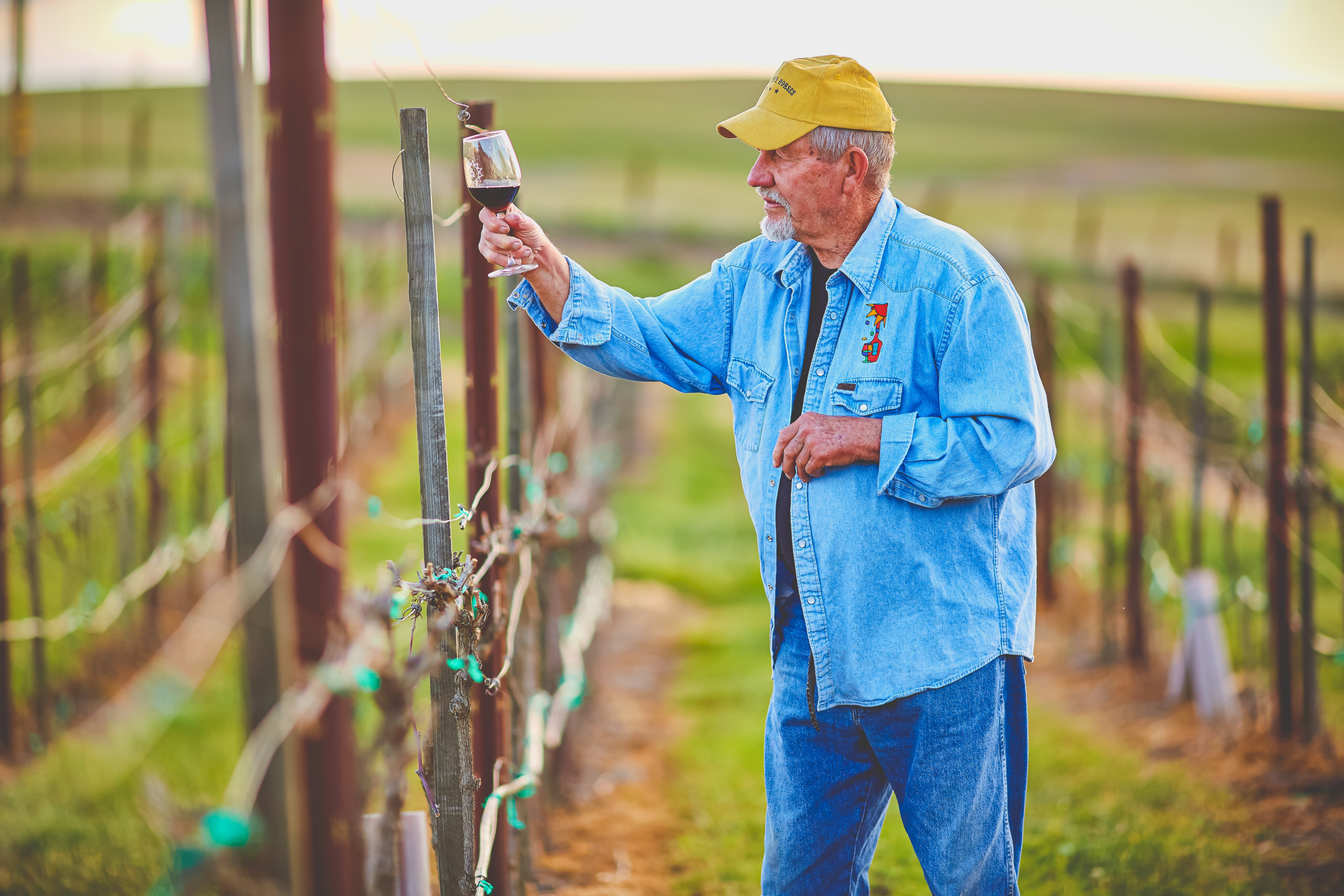 Hal Liske in Vineyard