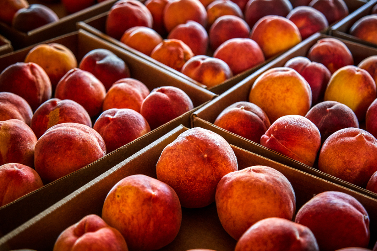 Peaches in bin